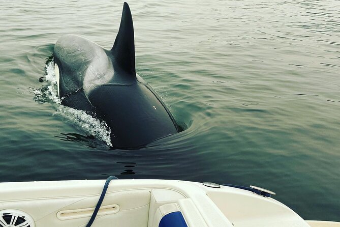 2 Hour Chartered Boat Tour from Deep Cove North Vancouver - Captain Michael Griffiths: Stories, Local Context, and Real-Time Help