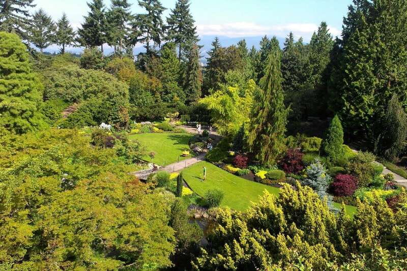 4-Hour Private Tour of Vancouver's Gardens - Dr. Sun Yat Sen Classical Chinese Garden and Chinatown’s plant logic