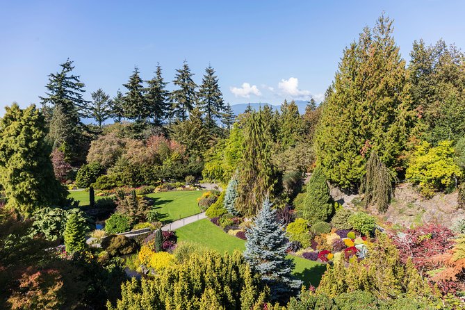 Best of Vancouver Private Tour - Stanley Park and Brockton Point totem poles, where the views do the talking