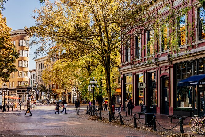 Big Bus Vancouver Hop-On Hop-Off Sightseeing Tour - Price and Value: When $48.74 Feels Worth It