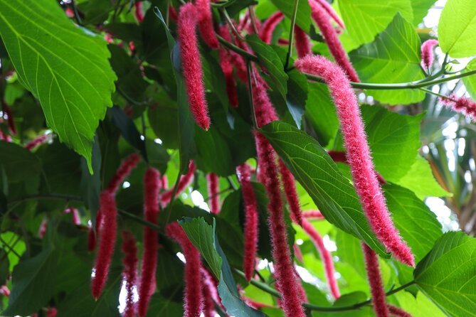 Bloedel Conservatory Admission Ticket - Timing in Vancouver: seasons, crowds, and the winter approach