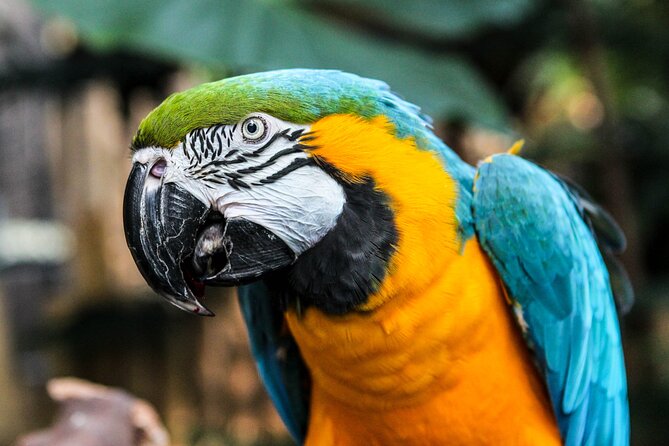 Bloedel Conservatory Admission Ticket - Why it feels so peaceful: humidity, paths, and the “stay a while” factor