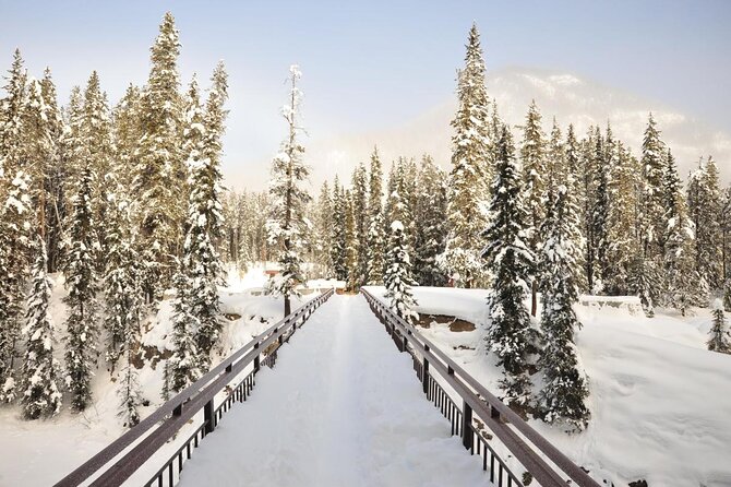 Canadian Rockies and Banff 4-Day Tour from Vancouver (Chn&Eng) - Key things that make this tour worth your attention