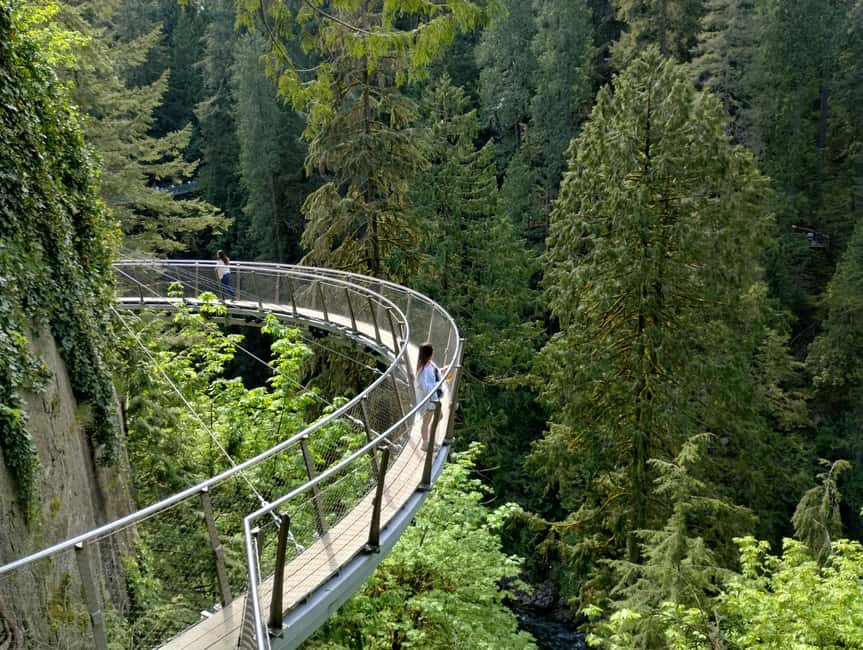 Capilano Br+Grouse Mtn+Dam+Lake&Hatcher/5in1/Small Group/Car - Price and value: why $187 can feel like a bargain