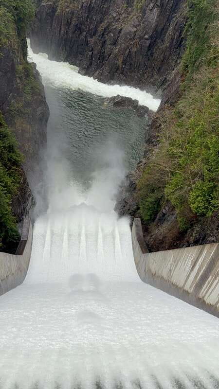 Capilano Br+Grouse Mtn+Dam+Lake&Hatcher/5in1/Small Group/Car - Who this 5-in-1 tour suits best