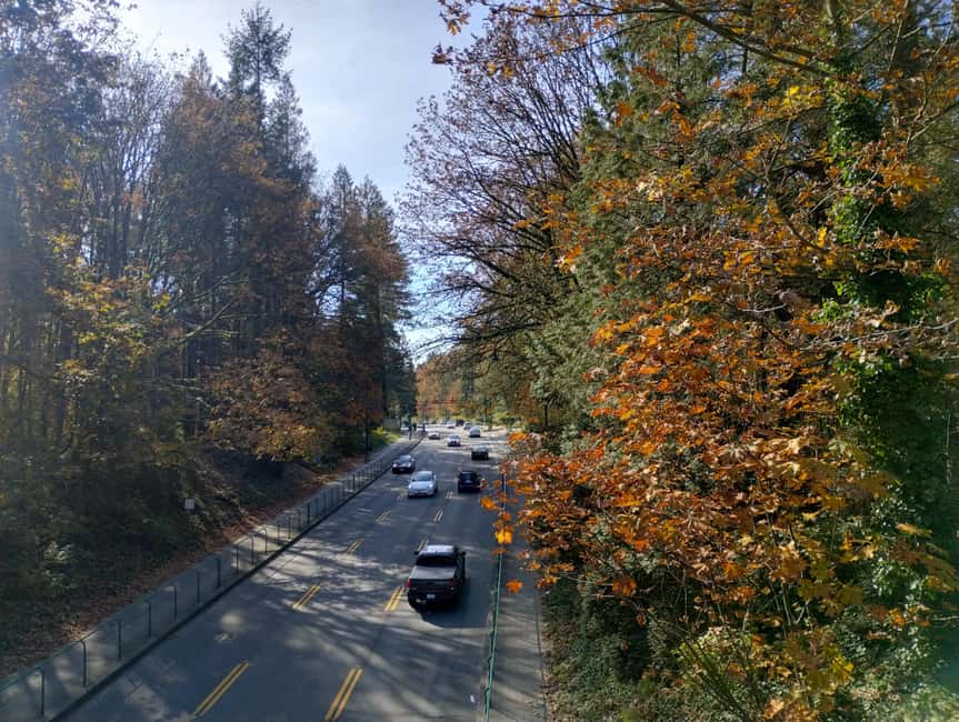Capilano Suspension Br+Lake+Dam+Hachery/4in1/CAR/Small GROUP - Treetops Adventure: 7 suspension bridges and platforms above the coastal rainforest