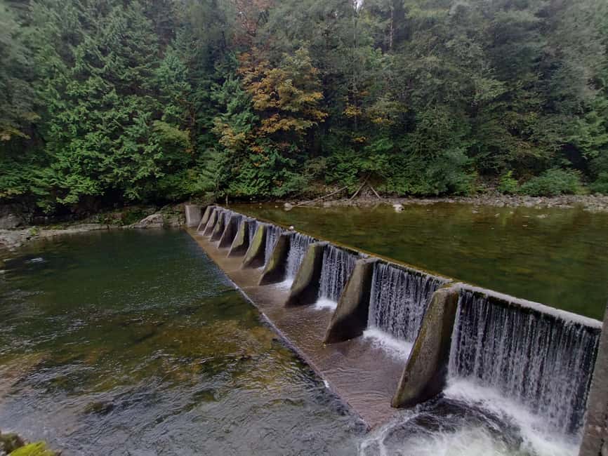 Capilano Suspension Br+Lake+Dam+Hachery/4in1/CAR/Small GROUP - Capilano Salmon Hatchery: watching the return of the salmon cycle