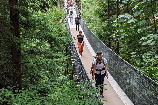 Capilano Suspension Bridge Canyon Lights & 4 Top highlights - Stanley Park: The City-Nature Finale in About 30 Minutes