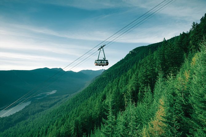 Capilano Suspension Bridge + Grouse Mountain Tour - Capilano Suspension Bridge Park: thrilling, but you can control your level of fear