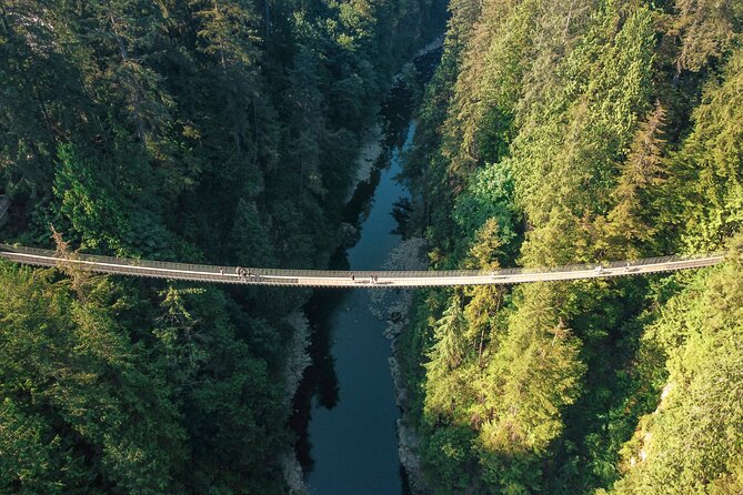 Capilano Suspension Bridge Park Ticket - Treetops Adventure: Seven Bridges High in the Canopy