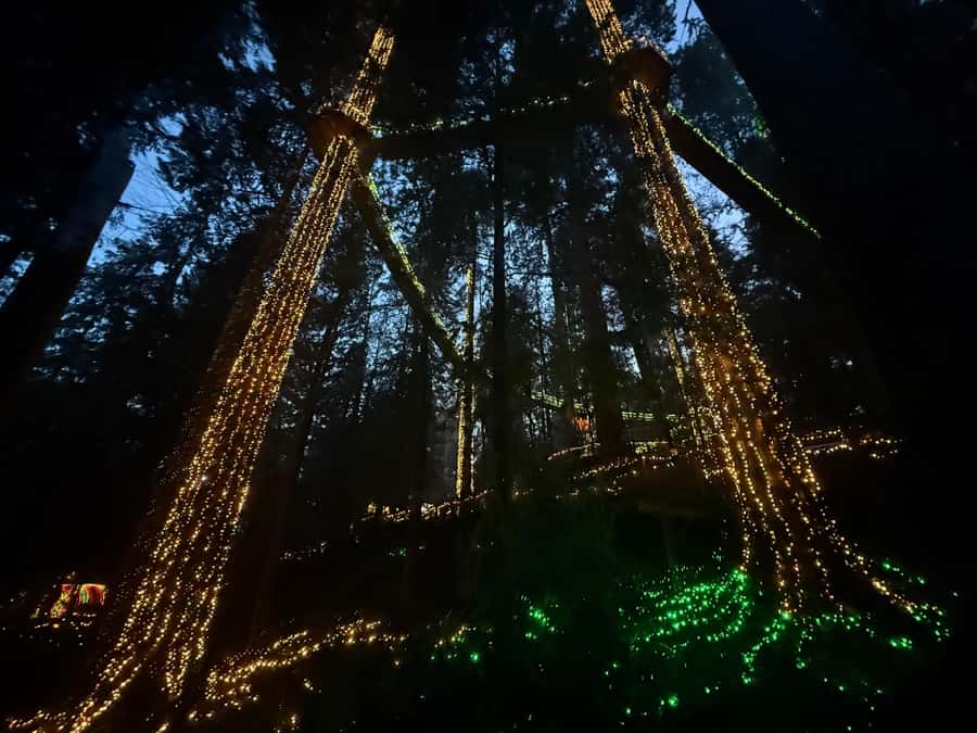 Capilano Suspension Bridge/Private/Small Group/By LUX CAR - A Vancouver day that avoids the “how do we get there” headache