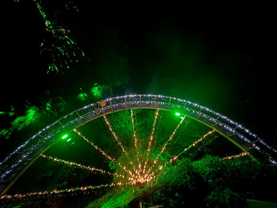 Capilano Suspension Bridge/Private/Small Group/By LUX CAR - Lions Gate Bridge, then you’re ready for Capilano