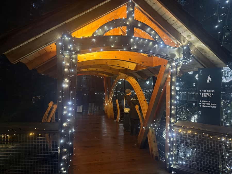 Capilano Suspension Bridge/Private/Small Group/By LUX CAR - Kiapalano and the Story Centre, culture before the adrenaline