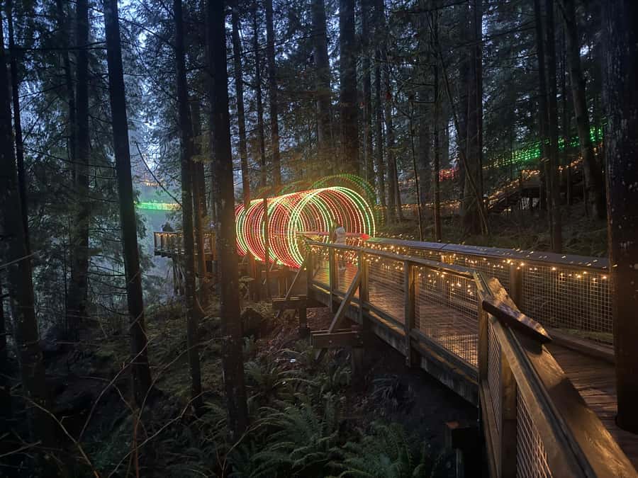 Capilano Suspension Bridge/Private/Small Group/By LUX CAR - Treetops Adventure, seven suspension bridges up in the canopy