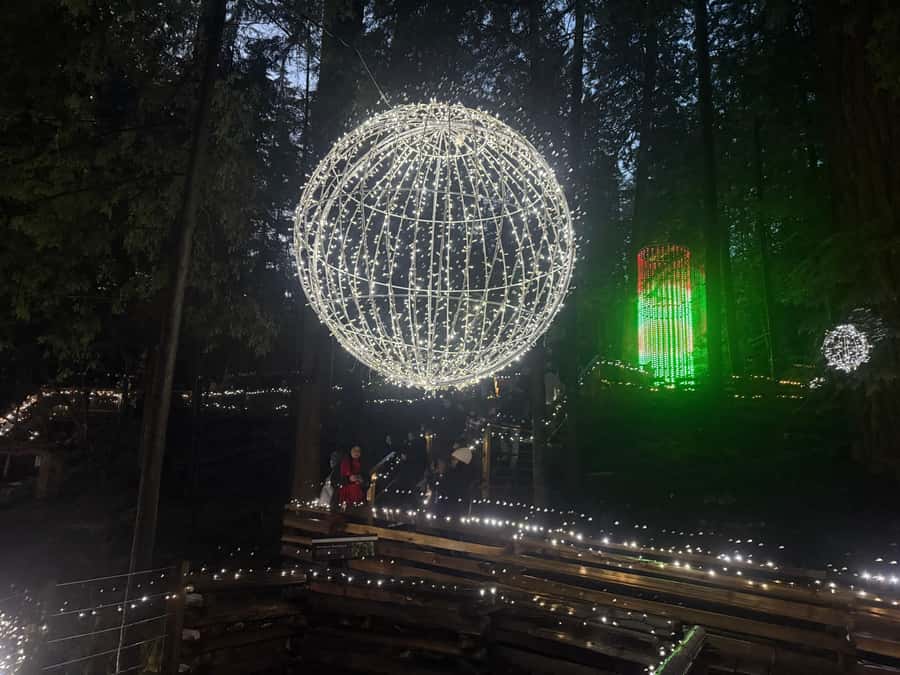 Capilano Suspension Bridge/Private/Small Group/By LUX CAR - Raptor show, Eagle Eye, and the “slow down” moments