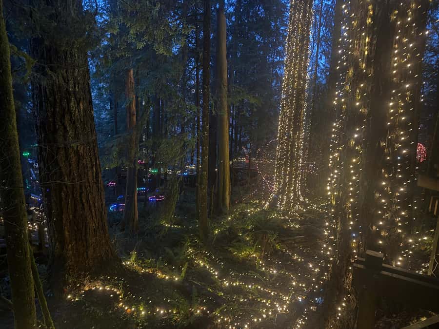 Capilano Suspension Bridge/Private/Small Group/By LUX CAR - The Trading Post stop, souvenirs without detouring