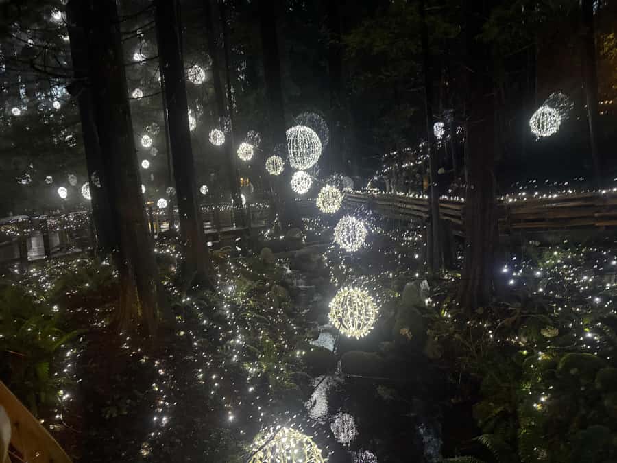 Capilano Suspension Bridge/Private/Small Group/By LUX CAR - Downtown pickup and the car route through Stanley Park