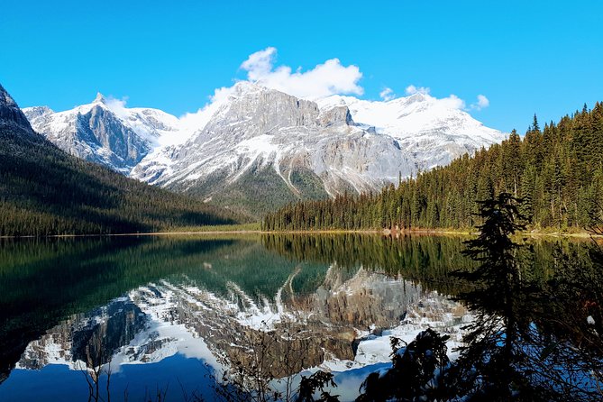 Caribou - Discover the Best of the Rockies (8-Days) - Icefields Parkway, Athabasca Glacier toe hike, and Jasper waterfalls