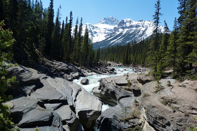 Coho - Explore Banff and Jasper National Parks (4-Days) - Money Check: What Your $1,121.24 Includes, and What It Does Not