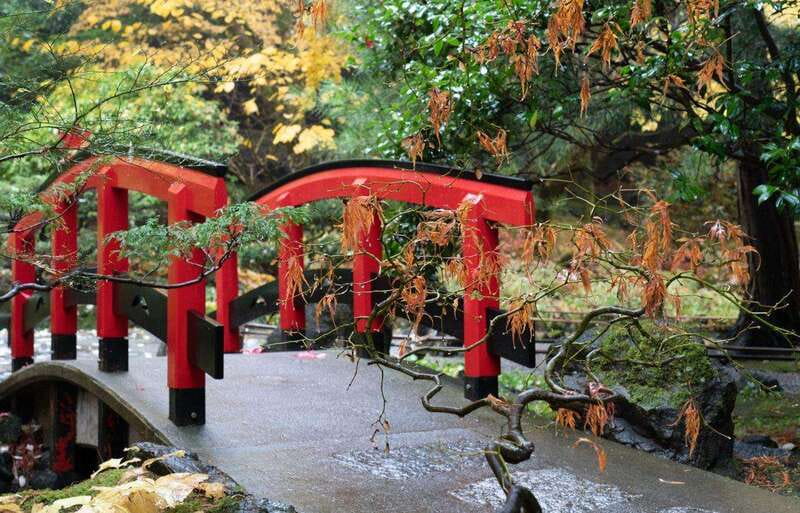 Day Trip from Vancouver to Victoria and Butchart Gardens - Inner Harbour, Chinatown, and the downtown feel