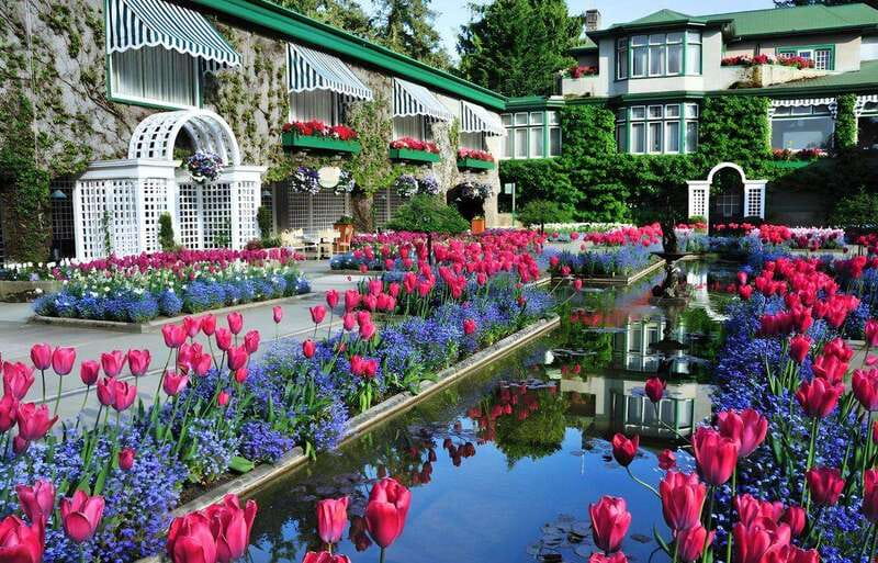 Day Trip from Vancouver to Victoria and Butchart Gardens - Price and logistics: what $247 buys you in real value