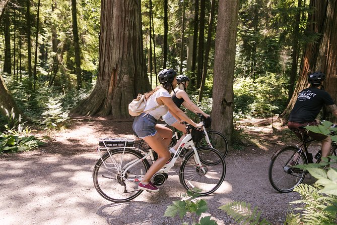 Epic Electric Bike Tour by Cycle City Tours - Chinatown and Gastown: Chinese heritage and Vancouver’s origin stories