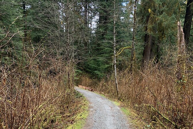 Experience the Beauty of Vancouver’s Forests by Bike/E-Bike - Price and Value: What $112.13 Buys You in Real Life