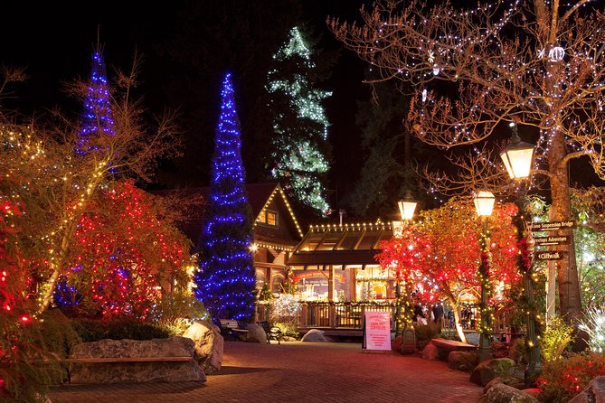 Explore Vancouver City & Capilano Suspension Bridge Canyon Lights - A half-day Vancouver route that actually fits first-timers