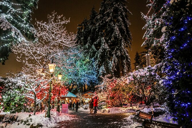 Explore Vancouver City & Capilano Suspension Bridge Canyon Lights - Guides, group size, and why the experience feels different