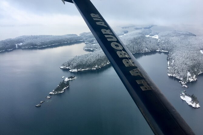 Extended Vancouver Panorama Scenic Seaplane Tour - Downtown from above: BC Place and Science World in one pass