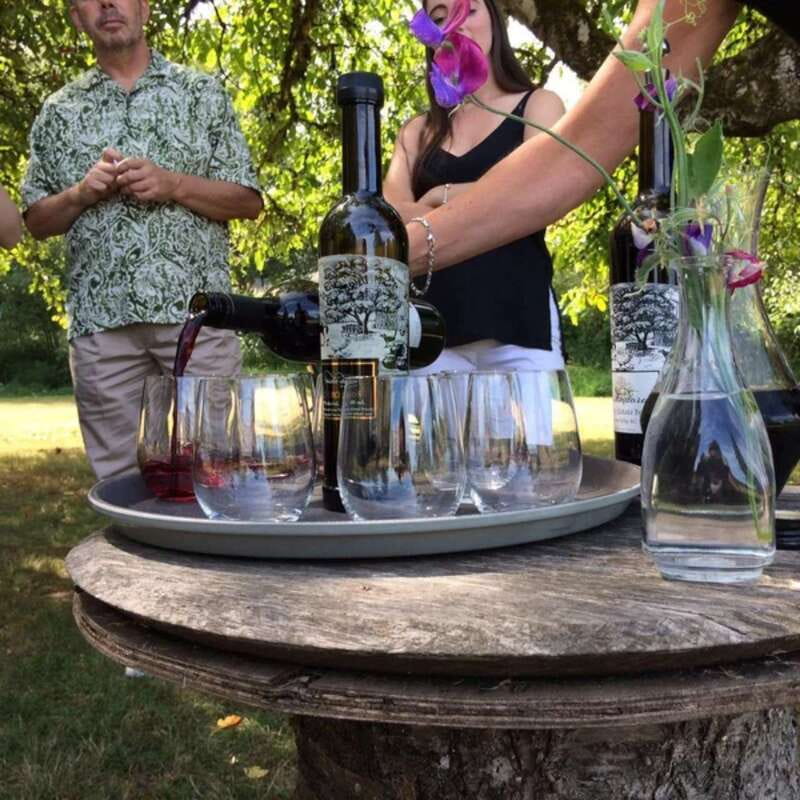 From Vancouver: Fraser Valley Wine Tour with Local Tastings - Stop 3: Cavallo, a calm finish with your remaining favorites
