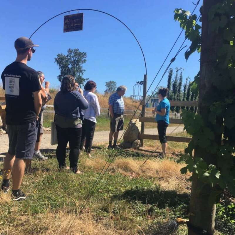 From Vancouver: Fraser Valley Wine Tour with Local Tastings - Who this tour suits best, and who should skip it
