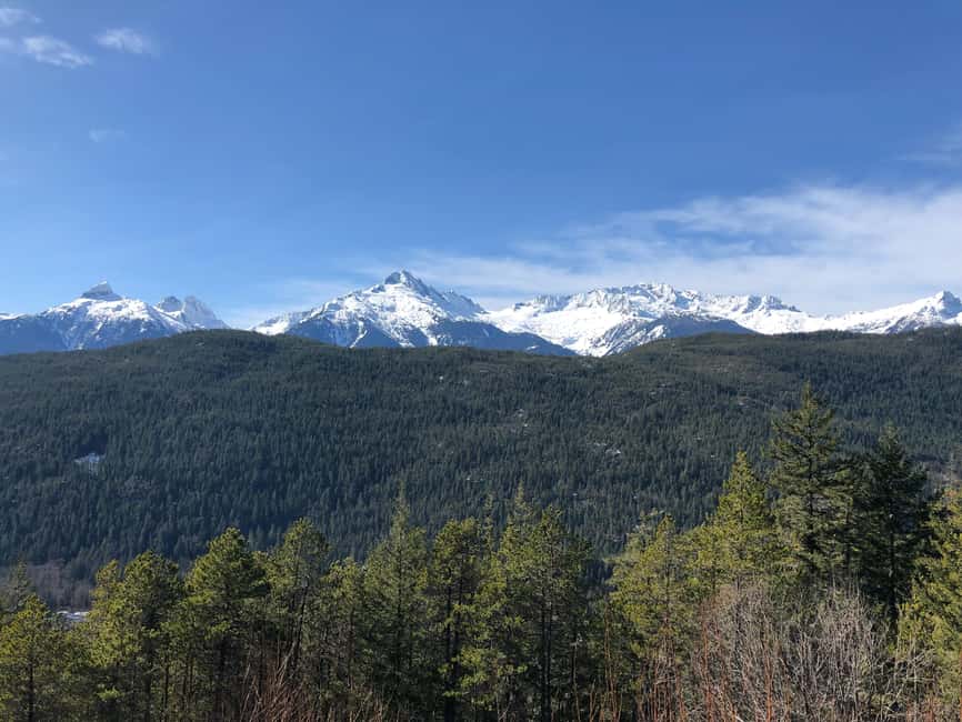 From Vancouver: Sea to Sky Gondola and Whistler Village Tour - Habrich Ridge by gondola: the ride and the viewpoints