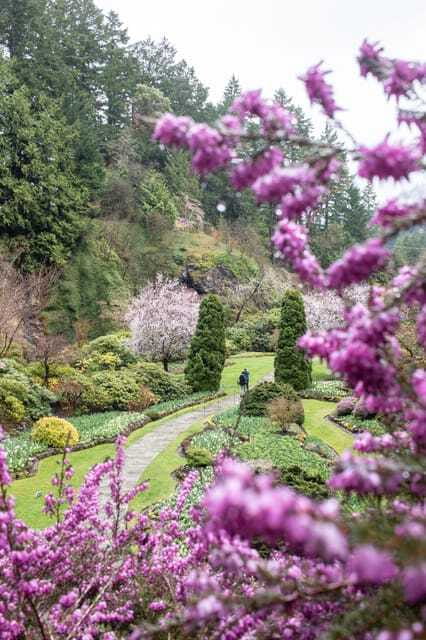 From Vancouver: Victoria, BC Ferry, Butchart Gardens Tour - Who this tour suits best, and who should think twice