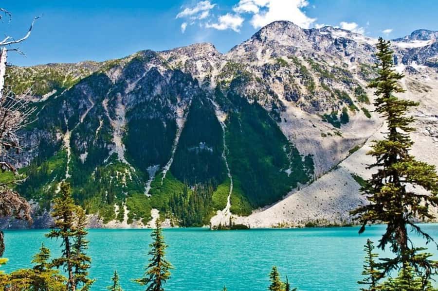 From Vancouver: Whistler Tour with Shannon Falls and Gondola - Sea to Sky Highway, your scenic “main course” from Vancouver