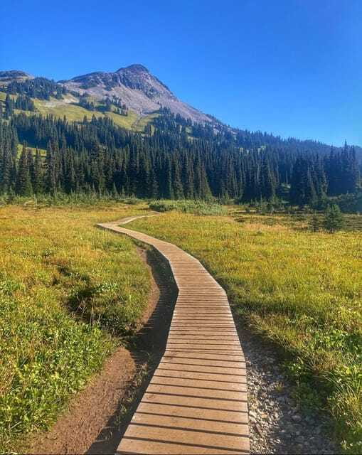 Garibaldi Park/ Panorama Ridge/ Hiking Day Trip - Coming Back Down: Same Trail, New Angles