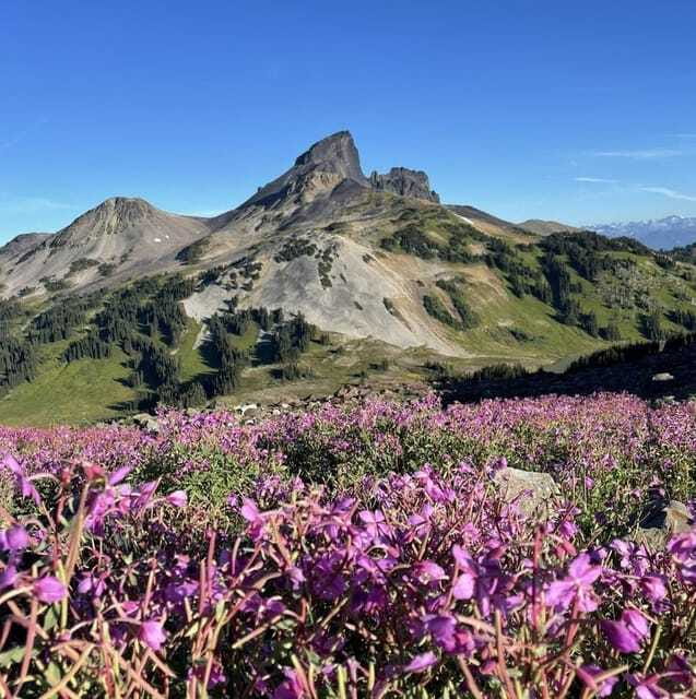 Garibaldi Park/ Panorama Ridge/ Hiking Day Trip - Whistler Stop: Break Time, Photos, and Shopping Without Stress
