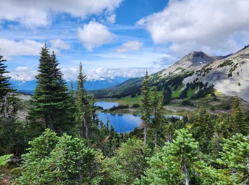 Garibaldi Park/ Panorama Ridge/ Hiking Day Trip - Price and Value: $475 Per Person, What You Are Really Buying