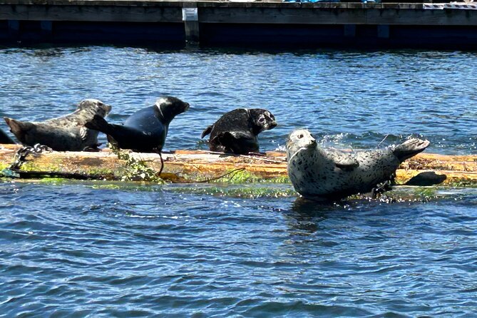 Granite and Silver Falls Private Boat Tour in Vancouver - Twin Islands in Say Nuth Khaw Yum Park: Quick Nature Reset