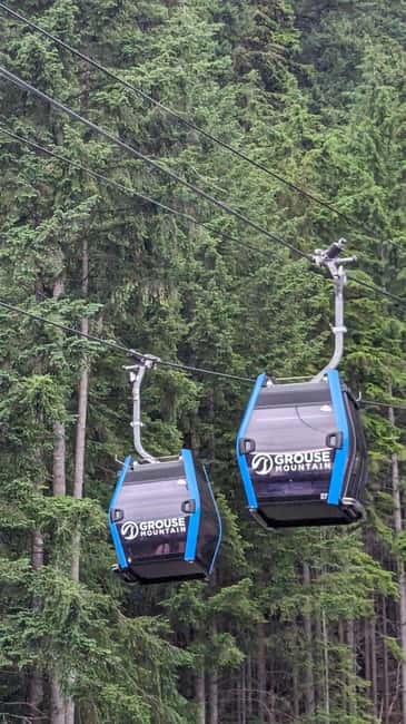 Grouse Mnt+StanleyPark+Hatchery+Cleveland Dam+LynnCanyonTOUR - Capilano Lake and Cleveland Dam: Short Stops With Big Photo Payoff