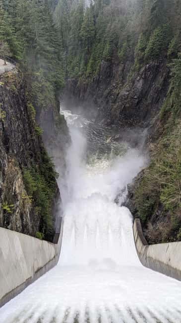 Grouse Mnt+StanleyPark+Hatchery+Cleveland Dam+LynnCanyonTOUR - Capilano River Hatchery: Learning the Salmon Life Cycle (Without a Lecture Vibe)