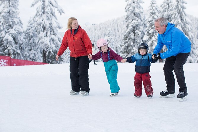 Grouse Mountain Admission Ticket - Price and what you really get for $66.24