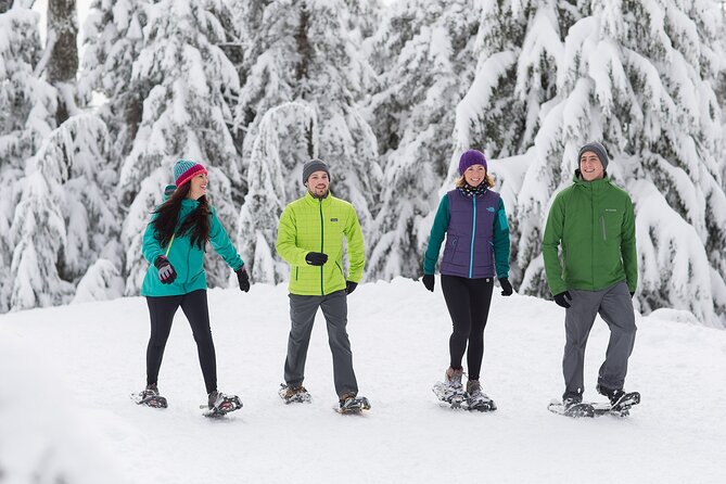 Grouse Mountain Admission Ticket - A self-paced visit that works in 2 to 4 hours