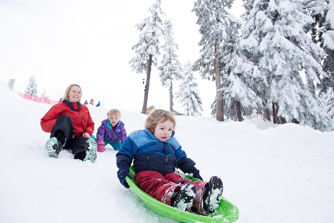 Grouse Mountain Admission Ticket - Getting the most out of the Bear and Birds agenda