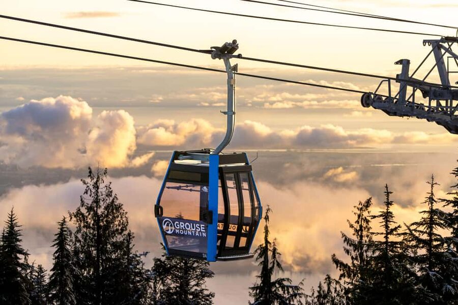 Grouse Mountain, Capilano Bridge & Fish Hatchery Tour - Key highlights that make this tour worth your time