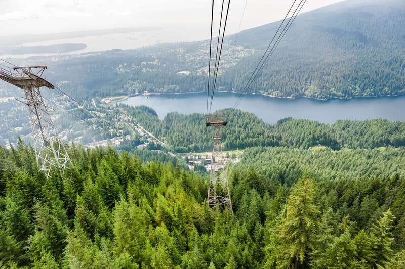 Grouse Mountain, Capilano Bridge & Fish Hatchery Tour - Grouse Mountain gondola time: views, shows, and grizzly bear encounters