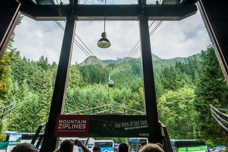 Grouse Mountain, Capilano Bridge & Fish Hatchery Tour - Lions Gate Bridge and the North Shore drive, the quick Vancouver reality check