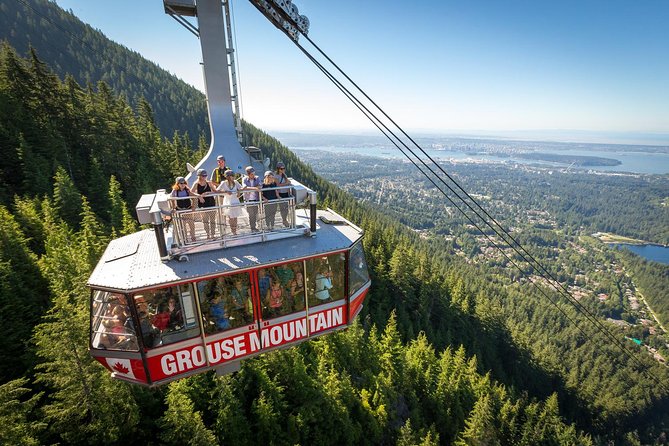 Grouse Mountain & Capilano Bridge Tour with Fish Hatchery - Price and Logistics: What Your Money Really Buys