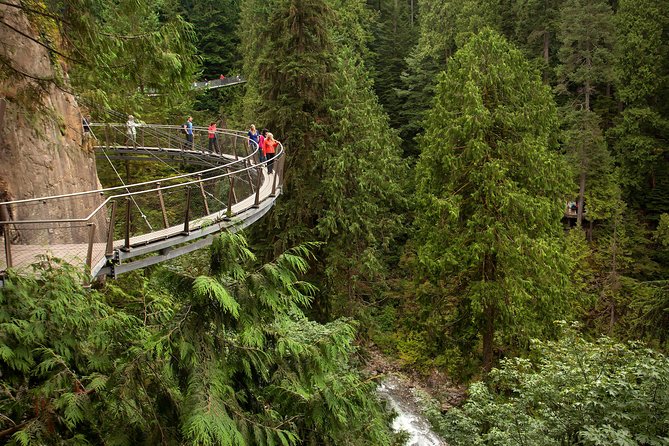 Grouse Mountain & Capilano Bridge Tour with Fish Hatchery - What to Do on Top: Wildlife Shows, Bears, and Time Management