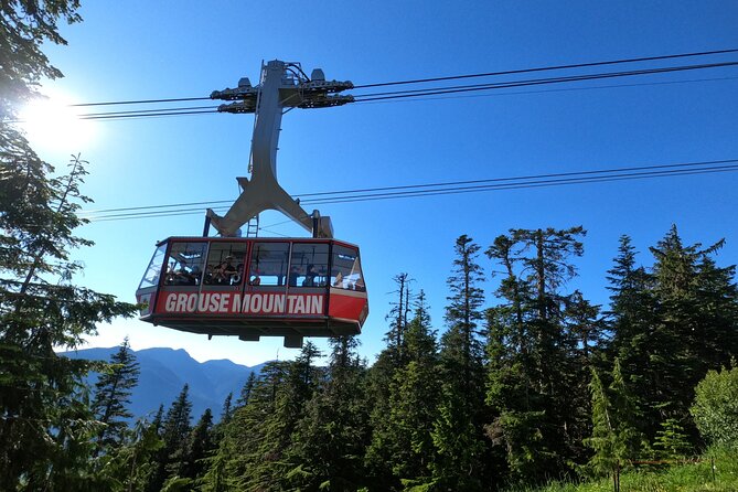 Grouse Mtn Stanley Park Hatchery Cleveland Dam Lynn Canyon Tour - Key points worth knowing before you go